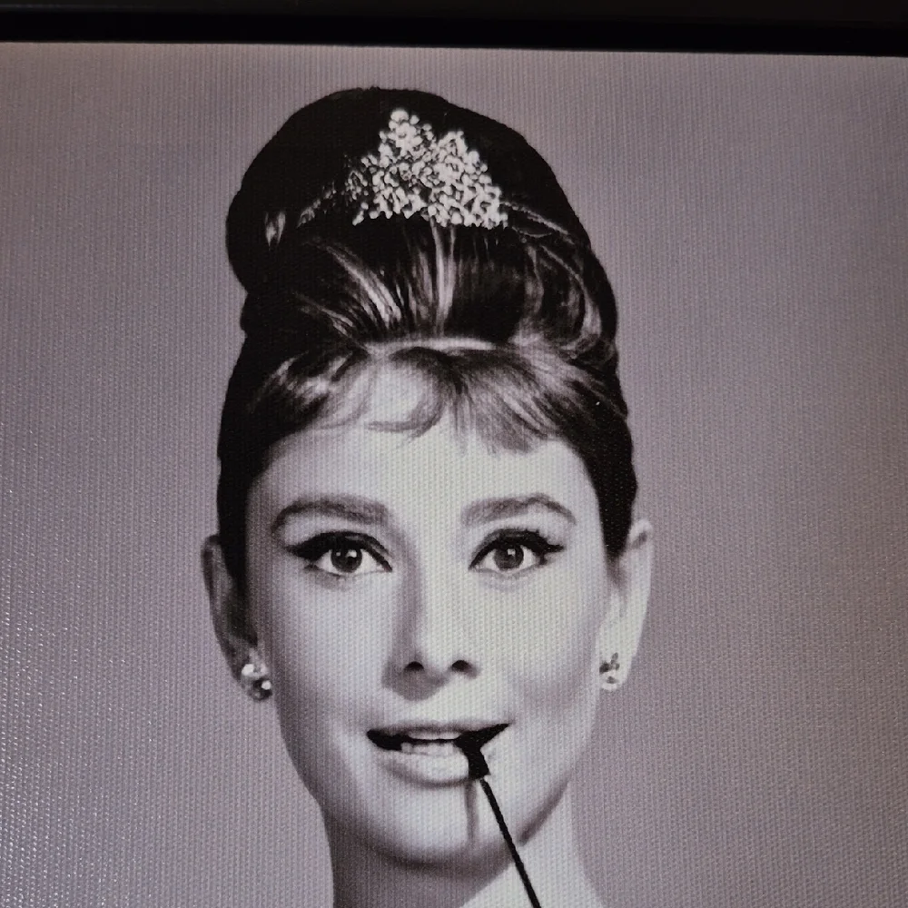 Audrey Hepburn Vibrant Creations Canvas Art